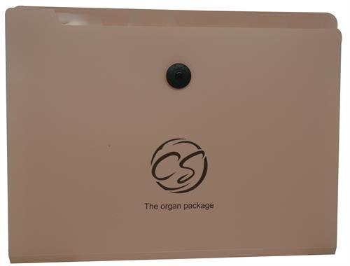 Brainware 8 Compartment Expanding File Organiser Pink